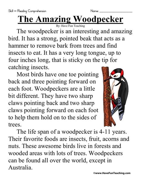 Reading comprehension for grade 3. The Amazing Woodpecker - Comprehension Worksheets ...