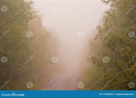 Very Thick Fog The Road Disappearing Into The Fog Stock Photo Image