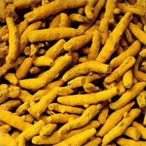 Natural Turmeric Finger And Kg At Rs Kg In Chennai Id