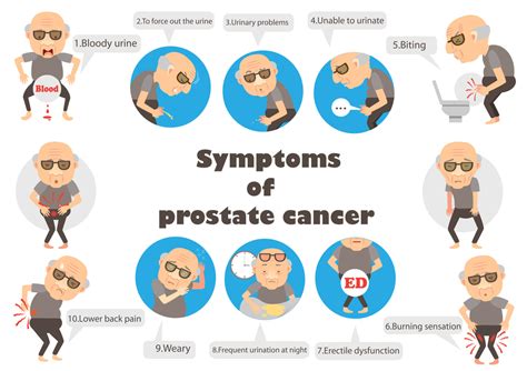 Prostate Cancer Diagnosis Treatment And Prevention Yatharth Hospitals