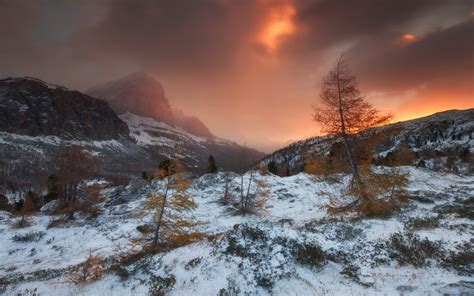 4530211 Clouds Snow Lights Photography Trees Waves Morning