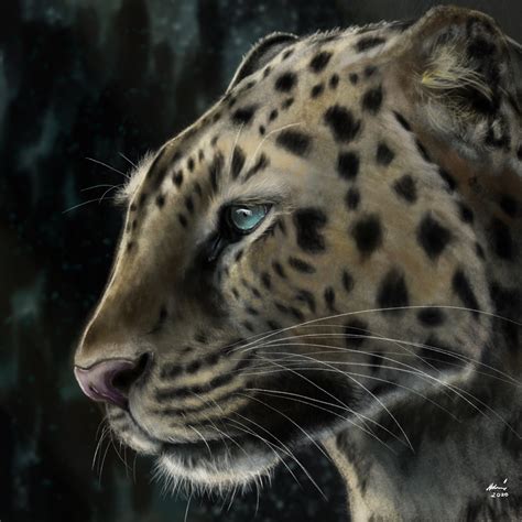 Leopard Digital Painting Rwildlifeart