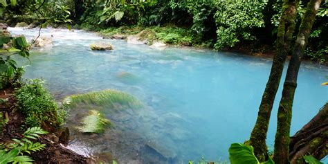 Monteverde Cloud Forest A Natural Gem In Costa Rica