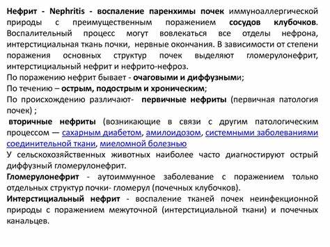 Нефрит - презентация онлайн Картинка - Нефрит - презентация онлайн