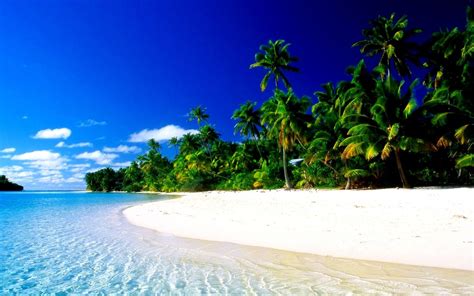Tropical Paradise Wallpapers Desktop Background