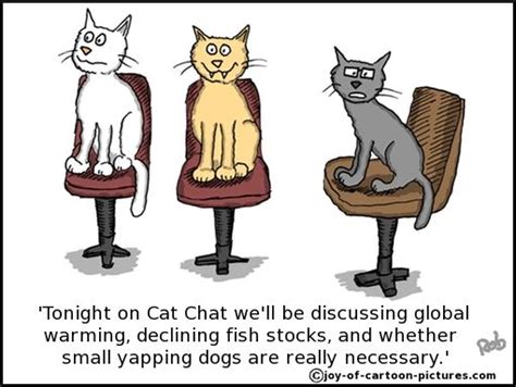 151 Best Cat Cartoons Images On Pinterest