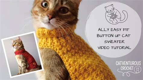 ally easy fit button up cat sweater catventurous crochet youtube