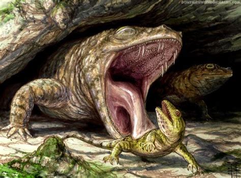 Temnospondyls — A Diverse Group Of Extinct Small To Giant Amphibians