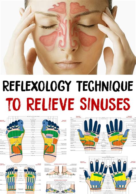 Sinuses Reflexology Technique To Relieve Sinuses Reflexology Foot