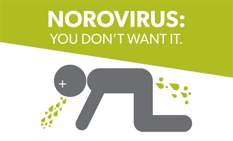 Norovirus is a very contagious foodborne virus that causes vomiting and diarrhea. Norovirus sickens dozens in Transylvania County - Outbreak ...