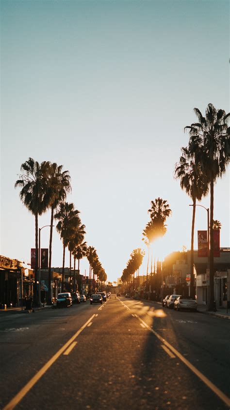 Download Wallpaper 2160x3840 Street City Sunset Palm Trees Cars