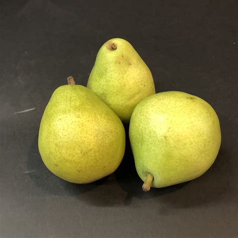 Pear Anjou By Piece Abmas Farm