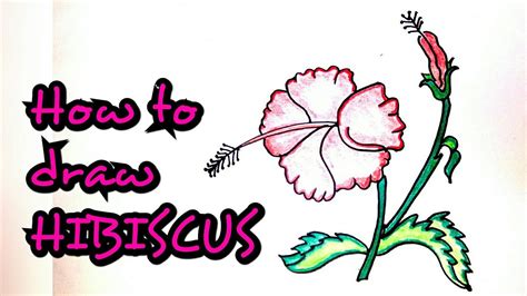 Drawing Tutorial How To Draw Hibiscus Flower Step By