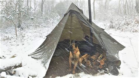 4 Days Winter Camping In Blizzard With My Dog Survival Off Grid
