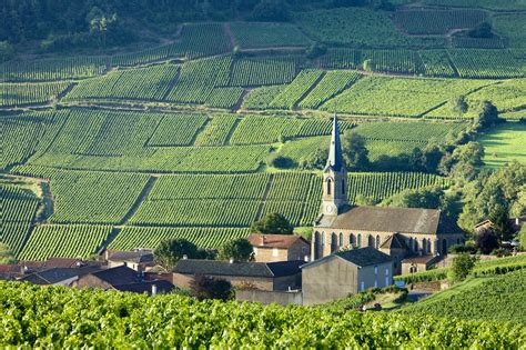 Burgundy Wine Region France Winetourism