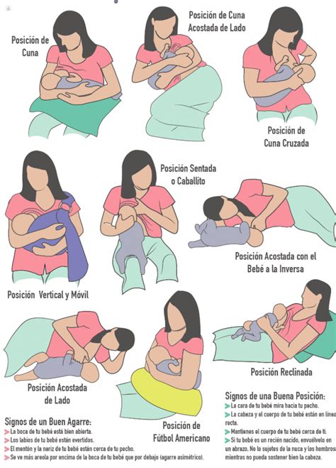 Conoce Todo Sobre La Lactancia Materna Y Sus Beneficios Top Doctors