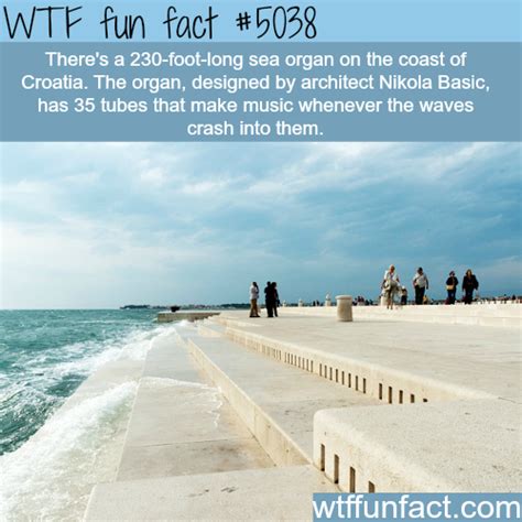 Did you know these fun facts and interesting bits of information? sea organ in croatia wtf fun facts