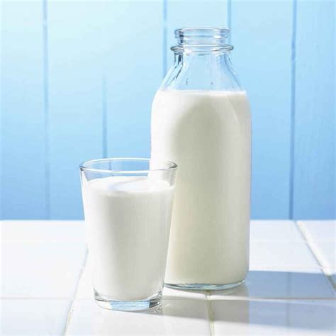 Best Powdered Milk Brands Of 2023 Hiking Insights