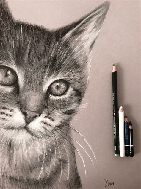 Mirada Felina Carboncillo Grafito Lápiz Dibujos Comprar Arte