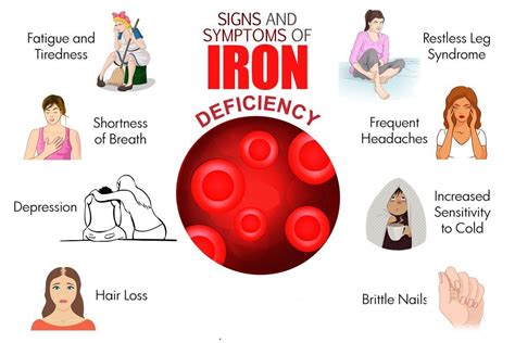 A Deficiency In Which Of The Following Can Cause Anemia Anabelkruwdickson