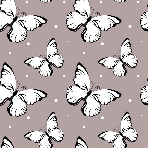 Black And White Butterfly Wallpapers Wallpaper Cave