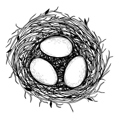 Vector Illustration Of Hand Drawn Nest With Eggs 6997871 Vector Art At