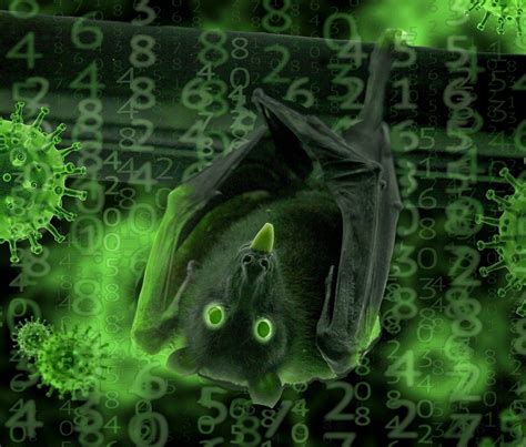 Scientists Reveal Bats May Provide Important Clues In Fighting Coronavirus