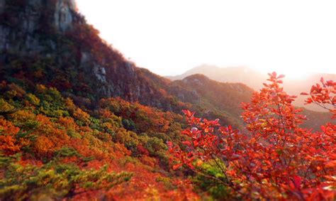 South Korea Autumn Weather Roveme