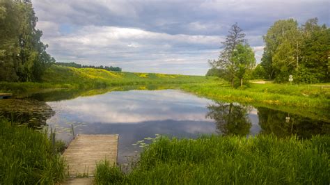 Summer landscape with Pond and Sky image - Free stock photo - Public Domain photo - CC0 Images