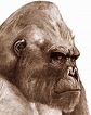 King Kong by bronze-dragonrider on DeviantArt