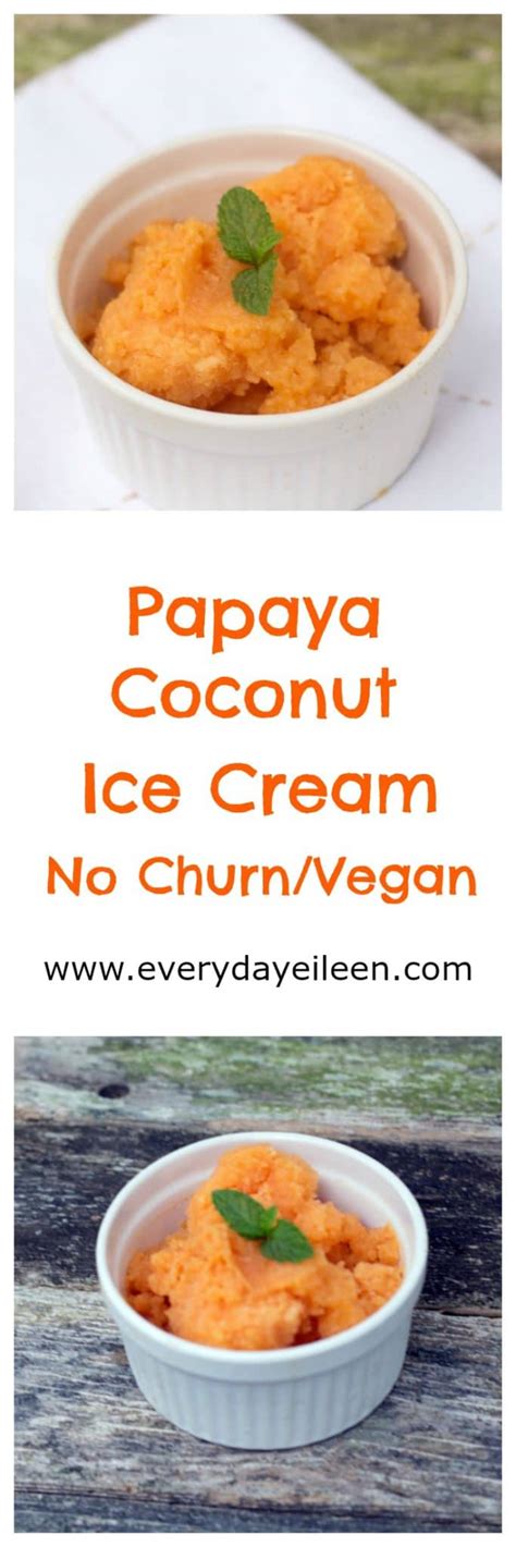 Quick Papaya Coconut No Churn Ice Cream Everyday Eileen