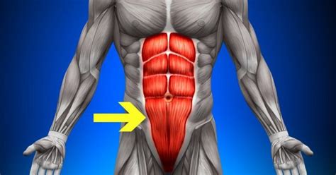 How To Build Specifically Lower Ab Muscles All