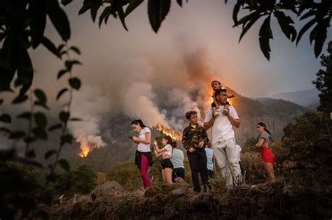 Waldbr Nde Auf Teneriffa Flucht Vor Den Flammen Zeit Online