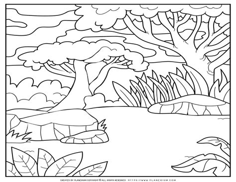 Forest Theme Coloring Pages