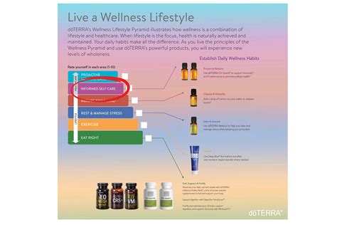 Four Steps To Holding Successful Lifestyle Overviews Dōterra