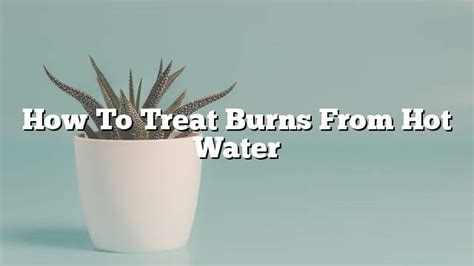 How To Treat Burns From Hot Water On The Web Today