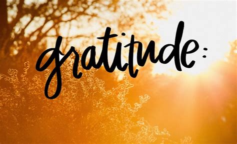Why Gratitude Georgetown Psychology