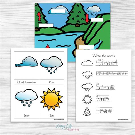 Download the the water cycle worksheet. Water Cycle Worksheets for Kids
