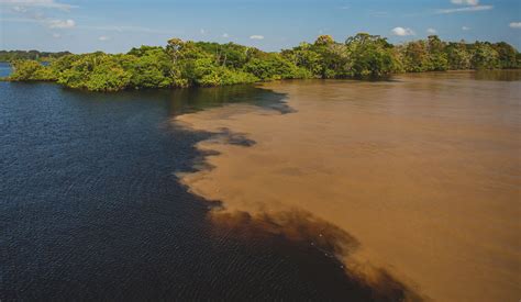 The Meeting Of The Waters In Manaus Brazil Rainforest Cruises