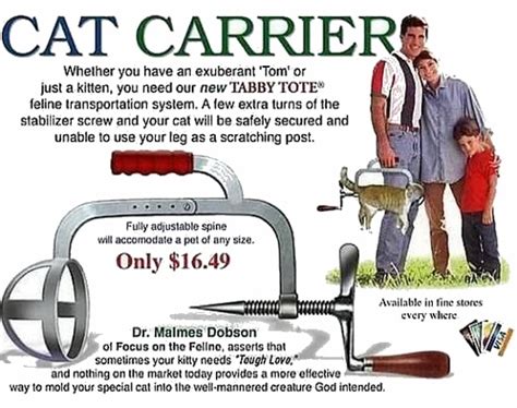 Cat Carrier Humor Casi Inteligente