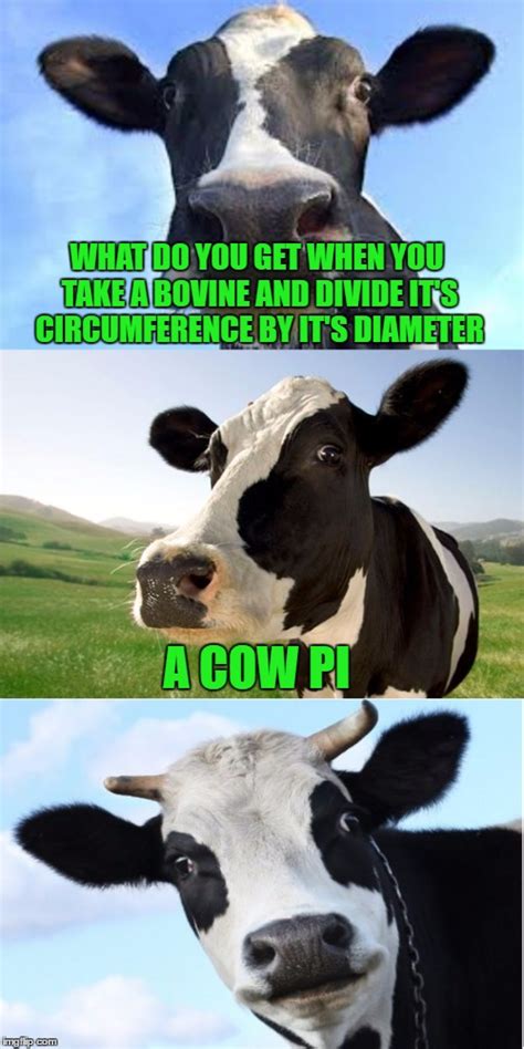Bad Pun Cow Imgflip