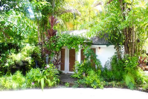 relaxing cottage in coconut grove guesthouses for rent in miami beach cottage rentals small