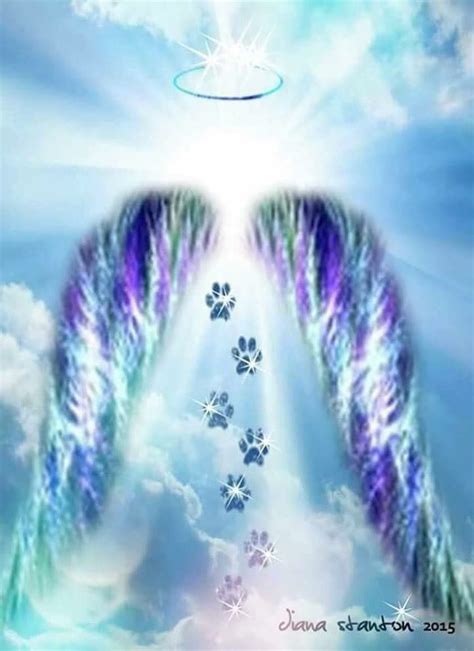 Pin By Diana Flohrschutz On Milo Rainbow Bridge Dog Tattoos Dog Angel