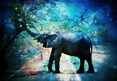 A Blue Elephant !!!! | Elephant, Blue elephants, Animals