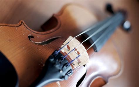 Violin Full Hd Wallpaper And Background Image 1920x1200 Id208105
