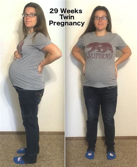 Week 29 Vegan Twin Pregnancy Update Genki Kittys Blog
