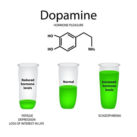 Dopamine tout savoir sur la substance qui régule le plaisir Conseils Beauté Santé