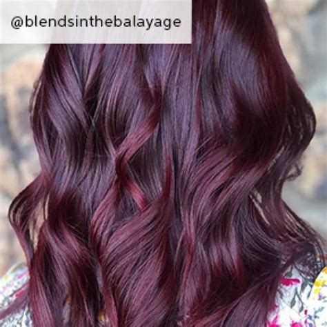 5 Pro Formulas For Dark Purple Hair Wella Professionals Hair Color