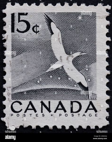 Canada Postage Stamp 15c Flying Gannet Stock Photo Alamy