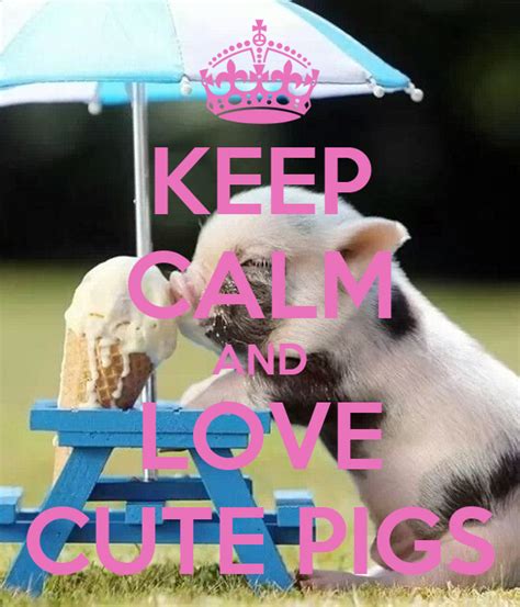 Keep Calm And Love Cute Pigs Poster Ava Keep Calm O Matic